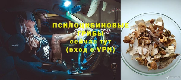 МДПВ Белокуриха