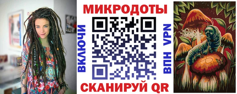 Галлюциногенные грибы Psilocybe  дарк нет формула  Гулькевичи 